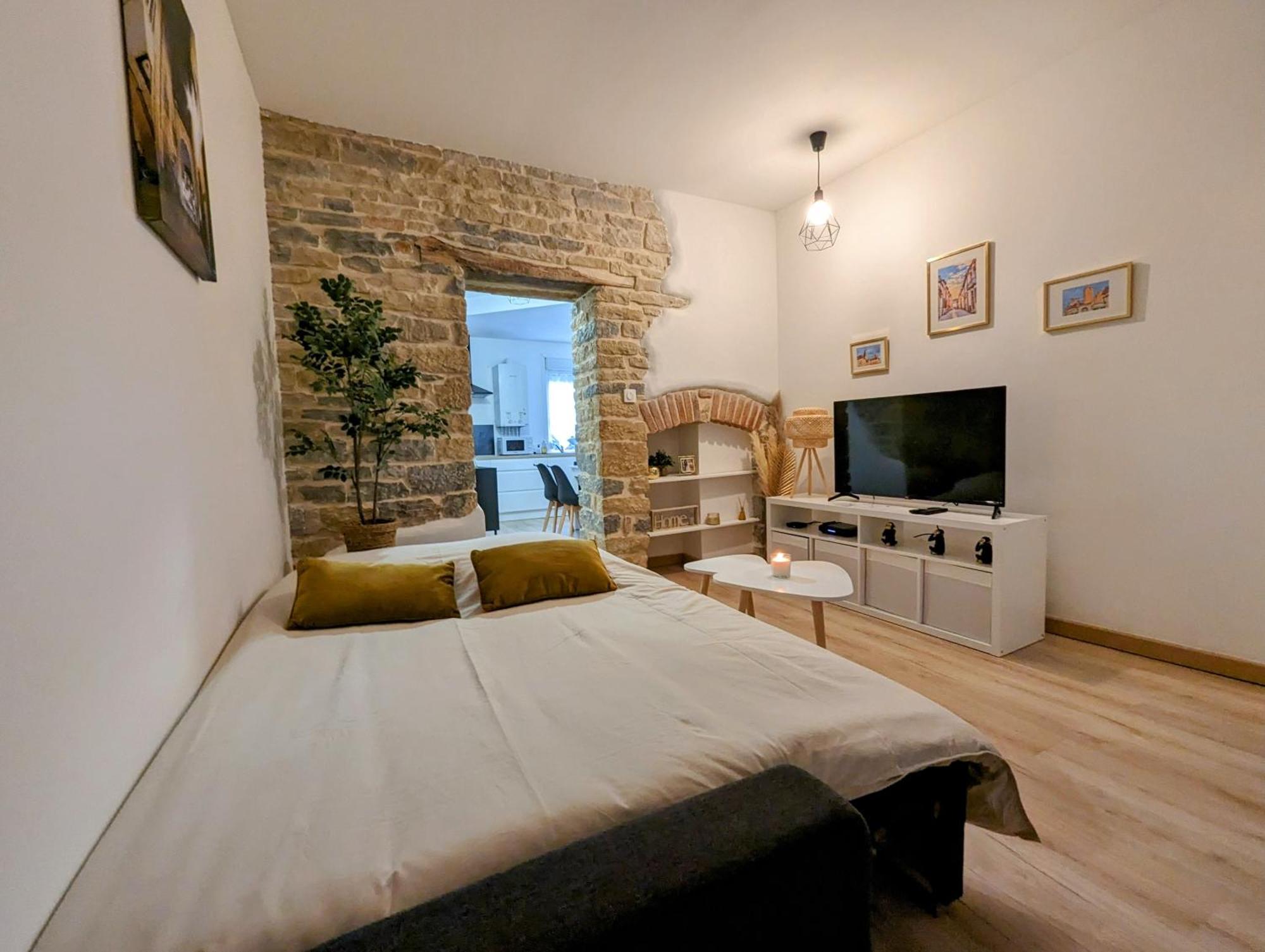Logement Complet Dijon Centre Jusqu'A 6 Couchages Buitenkant foto